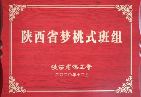 2020年國的陜西總工會夢桃式班組